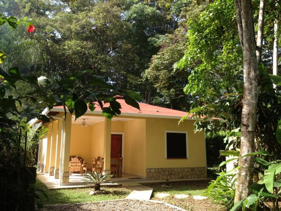 Villa La Perla Del Caribe à Puerto Viejo de Talamanca Extérieur photo